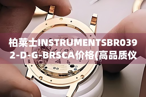 柏萊士INSTRUMENTSBR0392-D-G-BRSCA價格(高品質(zhì)儀器的價格及購買指南)