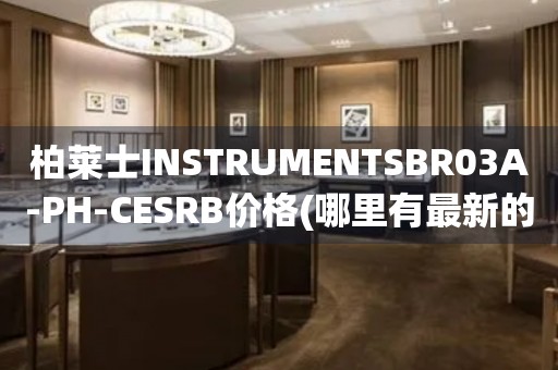 柏萊士INSTRUMENTSBR03A-PH-CESRB價格(哪里有最新的報價信息)