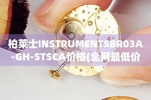 柏萊士INSTRUMENTSBR03A-GH-STSCA價(jià)格(全網(wǎng)最低價(jià)，限時(shí)特惠！)