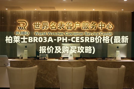 柏萊士BR03A-PH-CESRB價(jià)格(最新報(bào)價(jià)及購(gòu)買攻略)