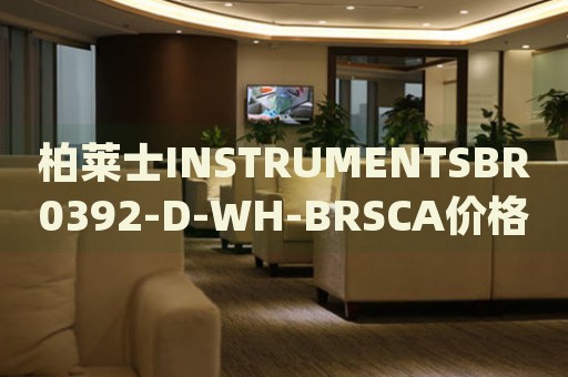 柏萊士INSTRUMENTSBR0392-D-WH-BRSCA價(jià)格(精準(zhǔn)報(bào)價(jià)及購買指南)