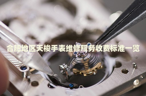 合肥地區(qū)天梭手表維修服務(wù)收費標(biāo)準(zhǔn)一覽