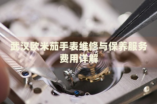 武漢歐米茄手表維修與保養(yǎng)服務(wù)費(fèi)用詳解