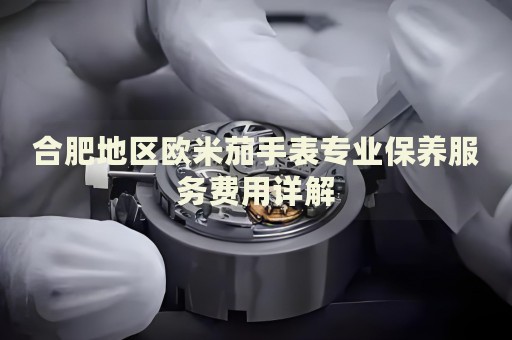 合肥地區(qū)歐米茄手表專(zhuān)業(yè)保養(yǎng)服務(wù)費(fèi)用詳解