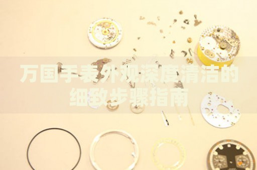 萬國手表外觀深度清潔的細(xì)致步驟指南