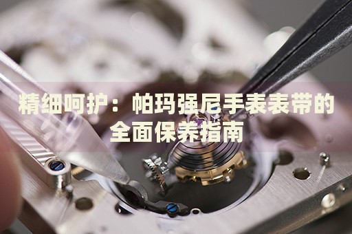 精細(xì)呵護(hù)：帕瑪強(qiáng)尼手表表帶的全面保養(yǎng)指南