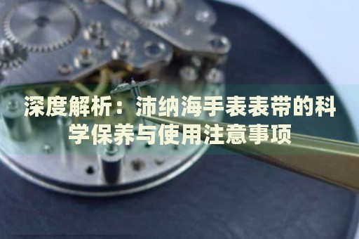 深度解析：沛納海手表表帶的科學(xué)保養(yǎng)與使用注意事項