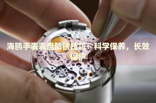 海鷗手表表盤防銹技巧：科學(xué)保養(yǎng)，長(zhǎng)效保護(hù)