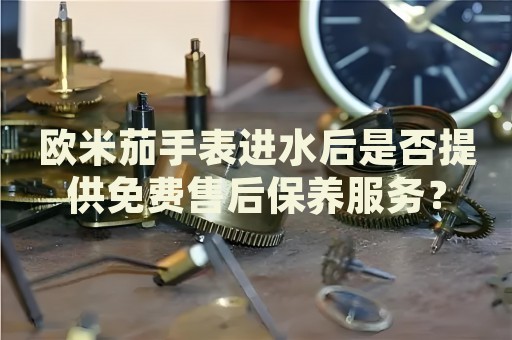 歐米茄手表進水后是否提供免費售后保養(yǎng)服務？