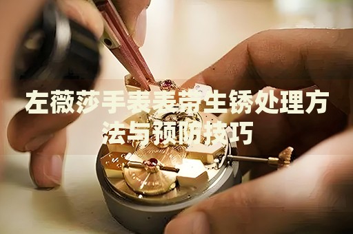 左薇莎手表表帶生銹處理方法與預(yù)防技巧