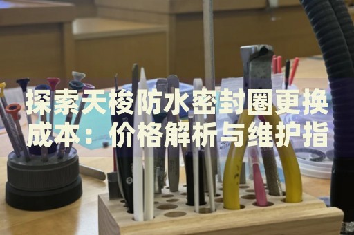 探索天梭防水密封圈更換成本：價格解析與維護指南