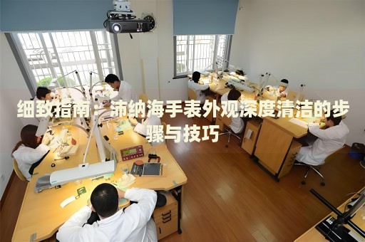 細(xì)致指南：沛納海手表外觀深度清潔的步驟與技巧