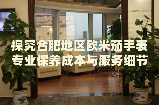 探究合肥地區(qū)歐米茄手表專業(yè)保養(yǎng)成本與服務細節(jié)