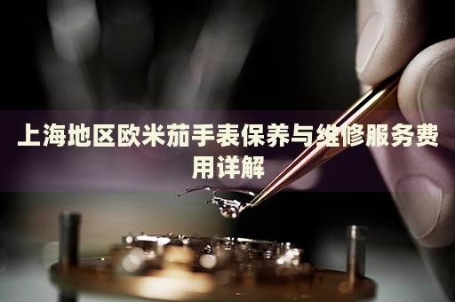 上海地區(qū)歐米茄手表保養(yǎng)與維修服務(wù)費用詳解