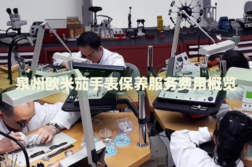 泉州歐米茄手表保養(yǎng)服務(wù)費用概覽