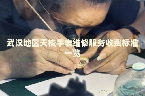 武漢地區(qū)天梭手表維修服務(wù)收費(fèi)標(biāo)準(zhǔn)一覽