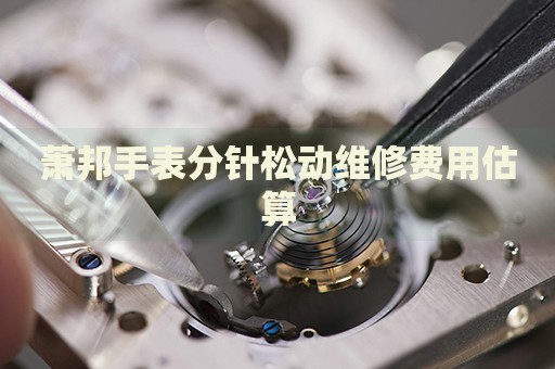 蕭邦手表分針?biāo)蓜泳S修費用估算