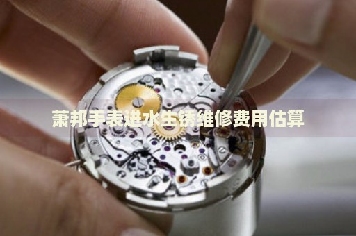 蕭邦手表進(jìn)水生銹維修費用估算