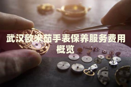 武漢歐米茄手表保養(yǎng)服務(wù)費(fèi)用概覽
