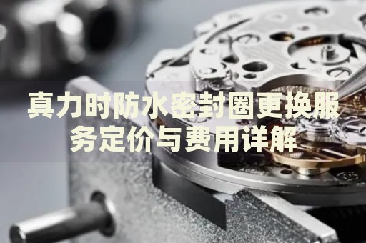 真力時防水密封圈更換服務(wù)定價與費(fèi)用詳解