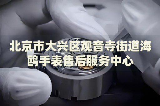 北京市大興區(qū)觀音寺街道海鷗手表售后服務(wù)中心