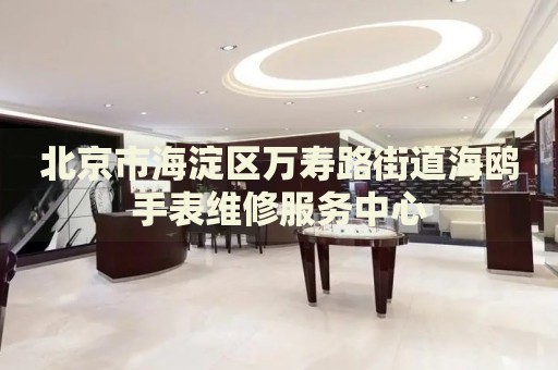 北京市海淀區(qū)萬(wàn)壽路街道海鷗手表維修服務(wù)中心
