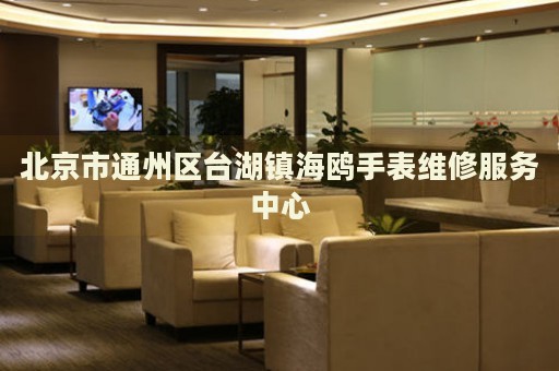 北京市通州區(qū)臺(tái)湖鎮(zhèn)海鷗手表維修服務(wù)中心