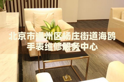 北京市通州區(qū)楊莊街道海鷗手表維修服務(wù)中心