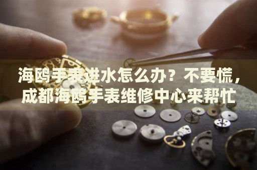 海鷗手表進(jìn)水怎么辦？不要慌，成都海鷗手表維修中心來(lái)幫忙