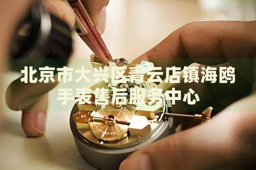 北京市大興區(qū)青云店鎮(zhèn)海鷗手表售后服務(wù)中心