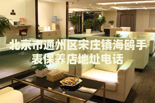 北京市通州區(qū)宋莊鎮(zhèn)海鷗手表保養(yǎng)店地址電話